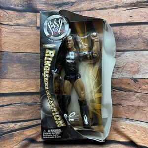WWE Ringleader Collection The Rock Figure 2002 ShopZone Exclusive Jakks Pacific